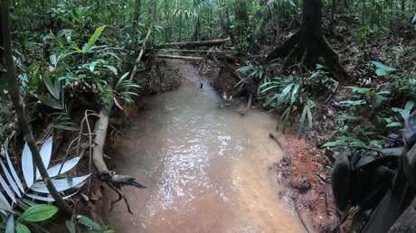 Lo que se sabe de la intensa búsqueda de 4 niños desaparecidos tras un accidente aéreo en Colombia