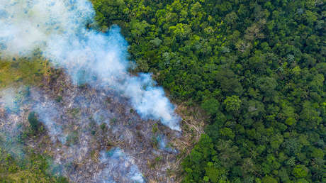 Brasil dice que no aceptará que la UE use el medio ambiente como "pretexto" para el proteccionismo