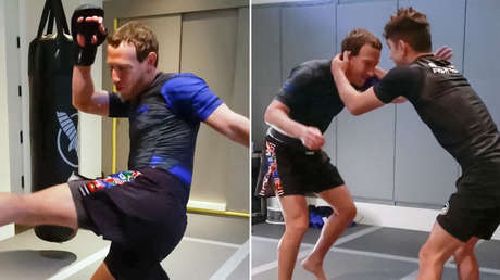 ¿Quién sería el favorito en una pelea entre Musk y Zuckerberg?