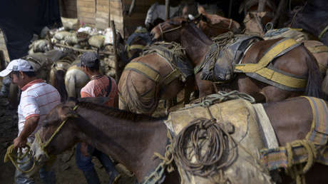 Cinco claves de la 'guerra dorada' que se vive bajo tierra en Colombia