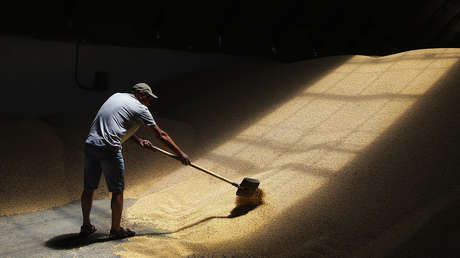 Rusia establece un récord de exportaciones de grano en la temporada 2022-2023