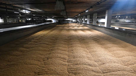 El Kremlin comenta la propuesta de Kiev de seguir con la exportación de granos sin Rusia