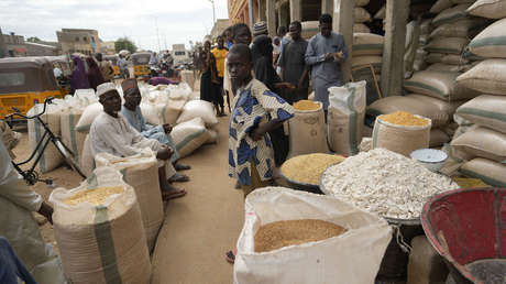 Ministro de Defensa italiano reconoce que el 95 % del grano ucraniano no llega a África