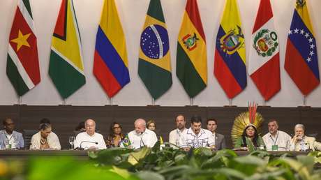 Deforestación cero, conservación y combate a la pobreza: qué se propuso en la cumbre de la Amazonía