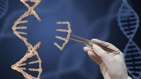 Científicos chinos desarrollan una herramienta más "eficaz" de edición de genes