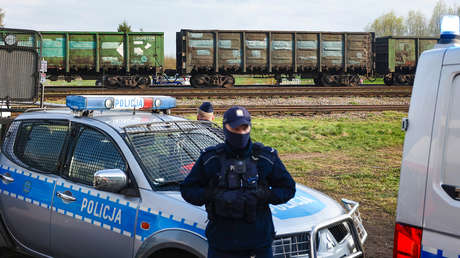 Polonia prohibirá el ingreso de grano ucraniano a partir del 15 de septiembre: ¿qué hay detrás?