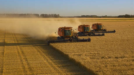 Zelenski promete responder a los países vecinos miembros de la UE que violen la legislación de Bruselas