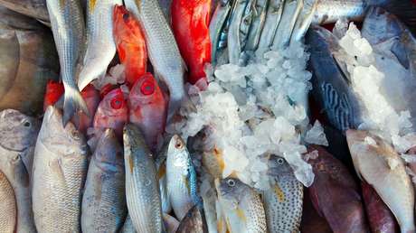 Rusia suspende las importaciones de productos marinos de Japón