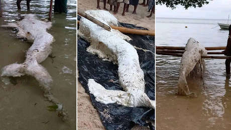 Bulto fantasmal aparecido en las costas de Papúa Nueva Guinea sigue siendo "una incógnita"