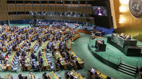 La Asamblea General de la ONU
