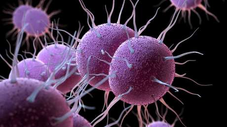 La supergonorrea podría tener pronto una cura