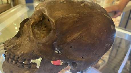 Encuentran un cráneo humano en venta en una tienda de antigüedades en EE.UU.