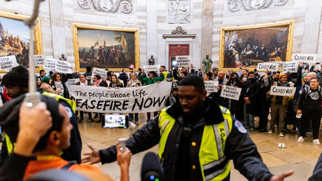 60 detenidos en una protesta en el Capitolio de EE.UU. que pedía un alto el fuego en Gaza (VIDEOS)