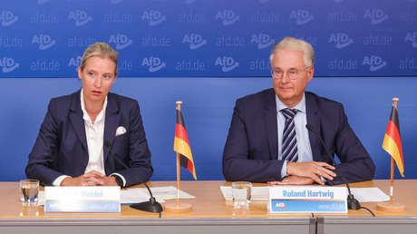 Partido de extrema derecha alemana despide a un alto cargo tras un escándalo neonazi