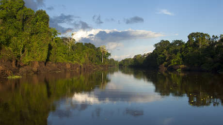 ¿Por qué Alemania, Noruega y Reino Unido se alarman por "potenciales impactos" de una ley peruana?