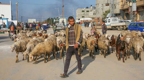 WP: EE.UU. y países árabes preparan la posguerra en Gaza y el calendario del Estado palestino