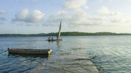 Mueren 8 niños y 1 adulto en Tanzania por comer carne de tortuga marina