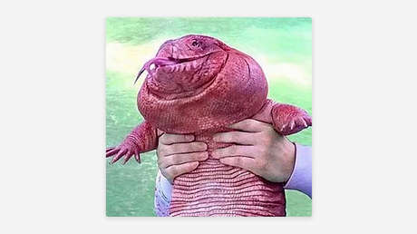 Criptomoneda argentina surgida como meme sube más de 350 % en un día