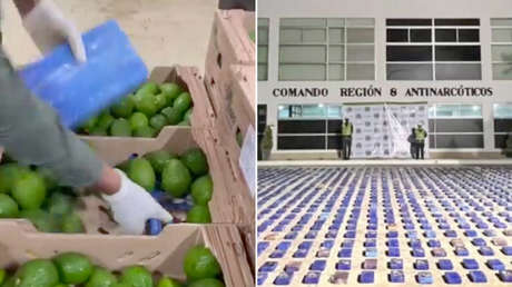 VIDEO: Encuentran aguacates con estremecedora 'sorpresa' en Colombia