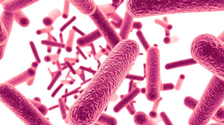 La tuberculosis en EE.UU. alcanza su mayor pico en una década