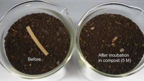 Inventan un 'plástico vivo' altamente biodegradable