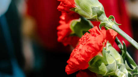 Abren un caso penal por depositar flores en el lugar donde estaba un monumento soviético demolido