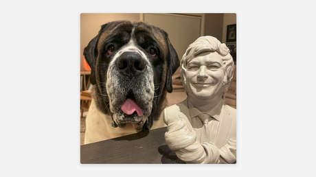 El inusual regalo que mandó Milei a un perro 'influencer'