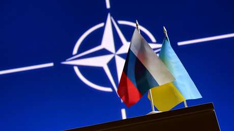 Putin a quienes afirman que Rusia quiere atacar a la OTAN: "Tontos como una piedra"