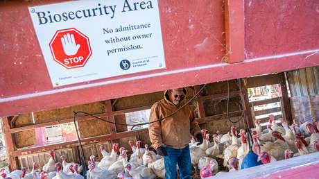 Científicos advierten sobre riesgo de desarrollo de "una pandemia en cámara lenta"