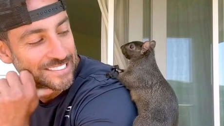 Musk reacciona al sacrifico por autoridades de 'Peanut', la ardilla estrella de la Red