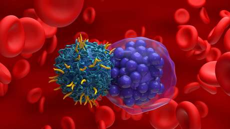 Terapia celular logra la remisión completa de un cáncer cerebral incurable