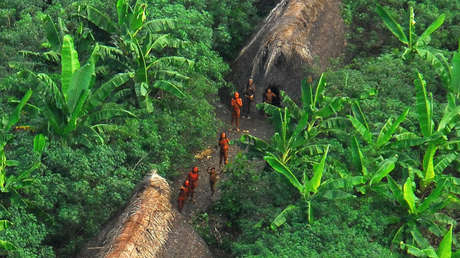Lo que revela una expedición sobre un pueblo indígena no contactado