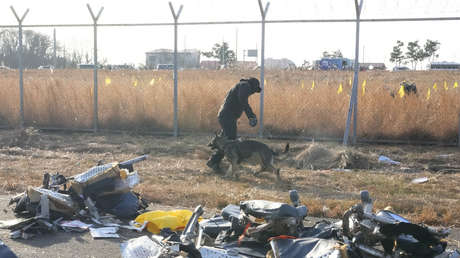 Expertos apuntan a una "combinación fatal de factores" en el siniestro aéreo en Corea del Sur