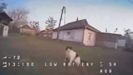 VIDEO: Un gato planta cara a un dron y lo derriba de un 'derechazo'