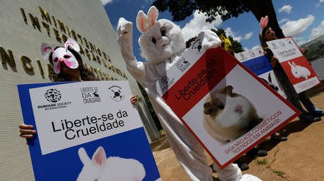 Chile prohíbe el uso de animales en pruebas de la industria cosmética