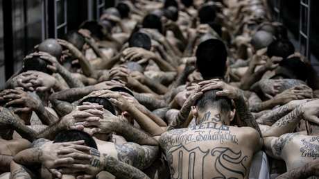 Trump se pronuncia tras propuesta de Bukele sobre envío de presos de EE.UU. a El Salvador