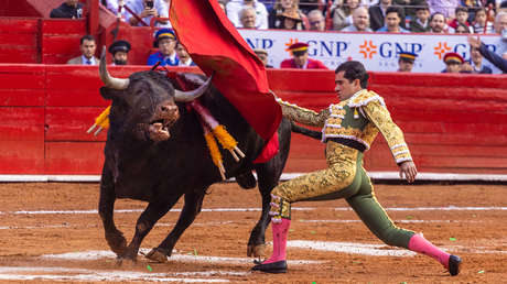 Corridas sin sangre: ¿Qué hay detrás de la propuesta para acabar con el maltrato animal en México?