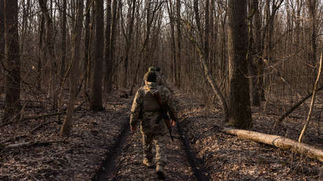 Prefiere que se rindan y no mueran: representante de Trump destaca la actitud humana de Putin hacia los soldados de Kiev