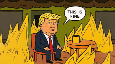 Memes marcan la caída del mercado ante la incertidumbre por los megaranceles de Trump