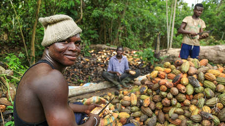 El mayor productor de cacao amenaza con subir los precios en respuesta a los aranceles