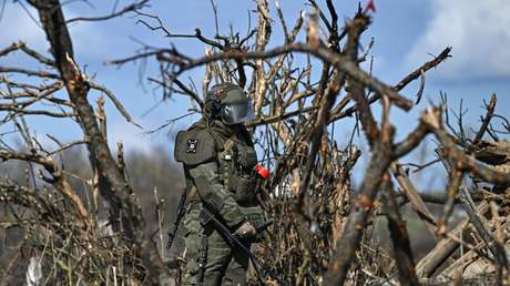 Rusia: Menos del 1 % de la provincia de Kursk queda por ser liberado