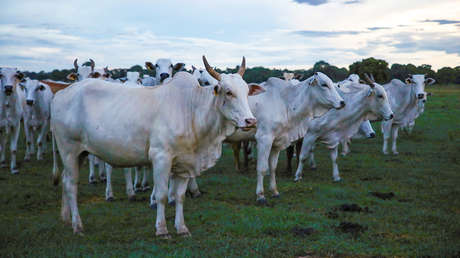 Un país juega a tres bandas para darle un vuelco al rol comercial de Latinoamérica