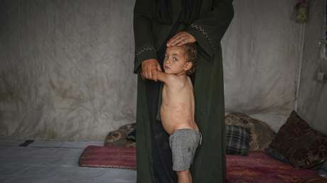 "Escalofriante": La ONU alerta que 14.000 bebés morirán en Gaza en 48 horas si no llega ayuda humanitaria