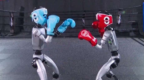 VIDEO: Robots protagonizan una pelea de boxeo en China