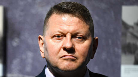 No esperar milagros: el duro pronóstico del exjefe militar de Ucrania