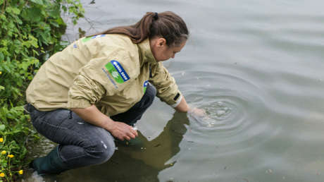 TFA: el perjudicial químico que podrías estar consumiendo a diario