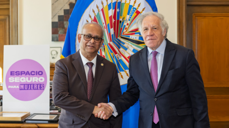 ¿Sobrevivirá la OEA en la era post-Almagro?