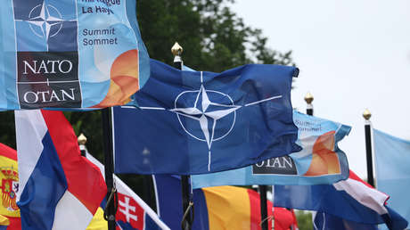 La OTAN: cómo es el mayor bloque militar del mundo y por qué está en lucha con Rusia