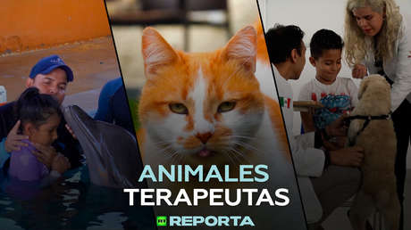 Animales terapeutas