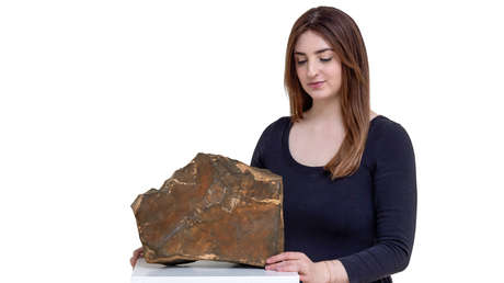 Ponen a la venta el pedazo más grande de Marte hallado en la Tierra